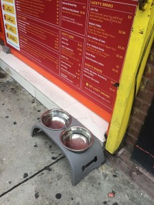 l NYC Buisness with pet water bowls