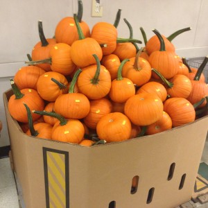 Pumpkins in NYC!