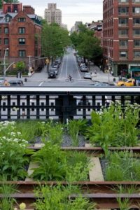 View From High Line Park (Courtesy NYC Park)